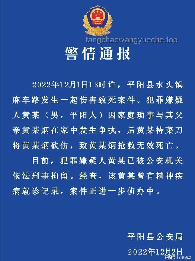 精神病人刑事责任能力对比分析：从法律与人性视角